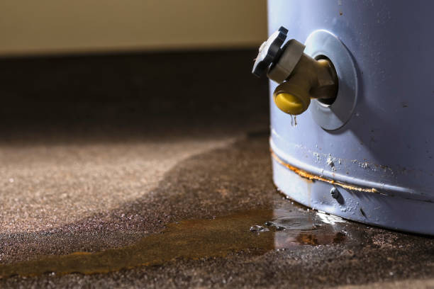 Best Mold removal after water damage  in Manchester, PA