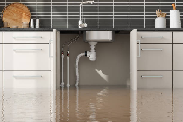Best Water damage contractors near me  in Manchester, PA