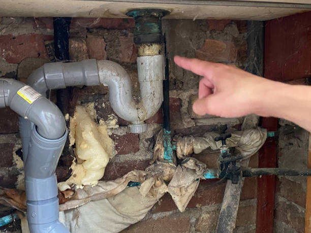 Best Water damage mitigation services  in Manchester, PA